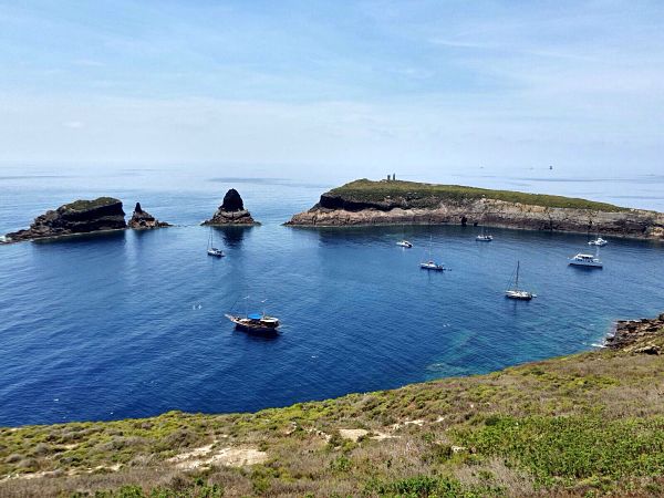 En Ses Illetes y Columbretes Verano 2017